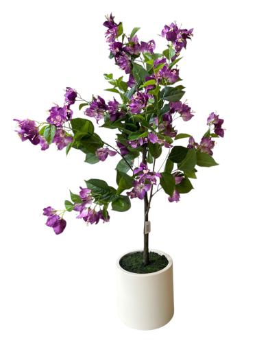 شجرة جهنمية موف