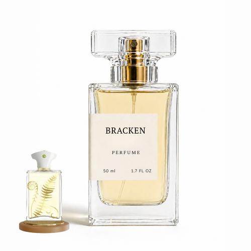 براكن | BRACKEN