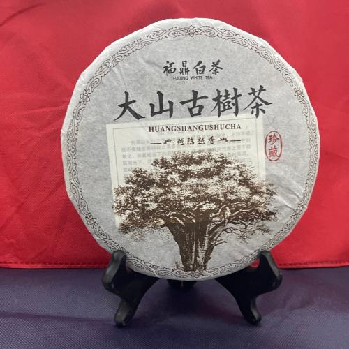 شاي ابيض معتق من الشجره المعمره