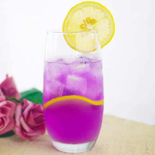 الشاي الازرق العضوي