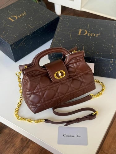 شنطه ديور (حصري )