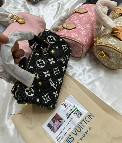 شنطه لويس فيتون (حصري )