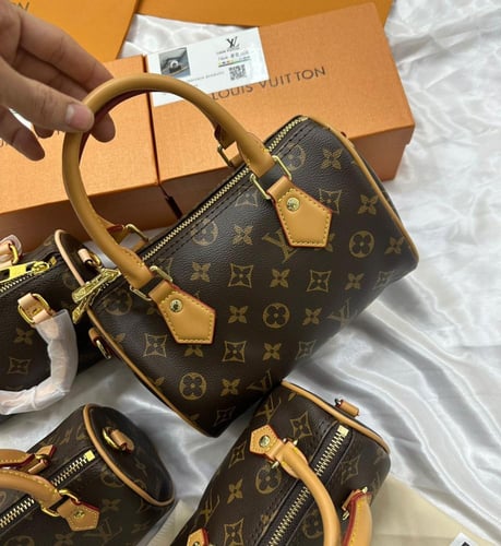 شنطه لويس فيتون (حصري )