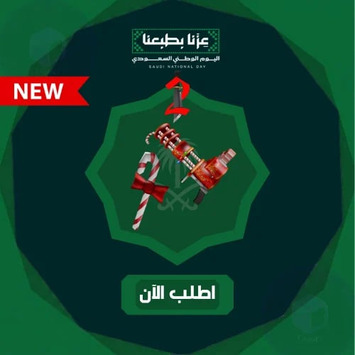 حزمة ام ام تو - يوم الوطني