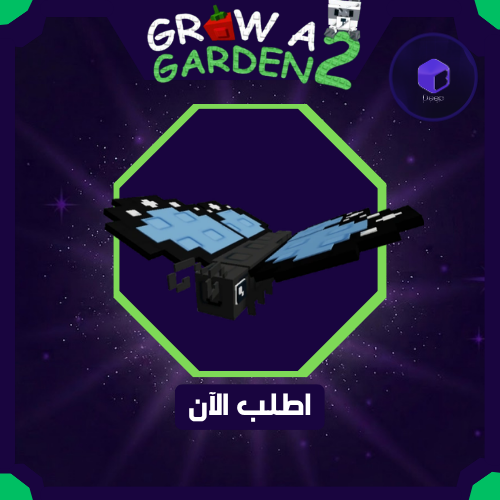 ButterFly - بتر فلاي