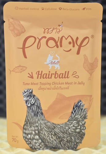 Pramy Adult - Hairball