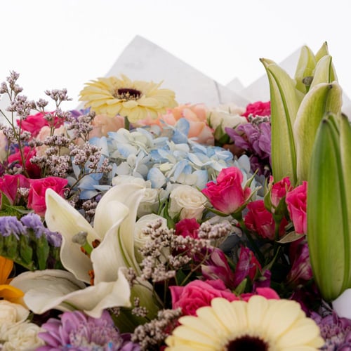 تناغم الألوان