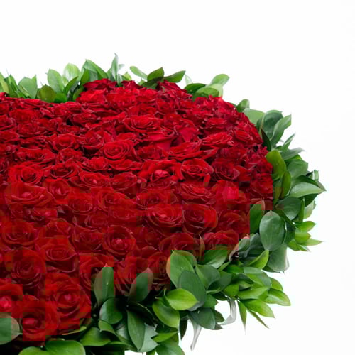 قلب الجوري الأبدي