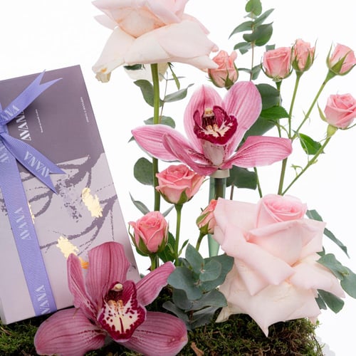 تناغم الأوركيد الوردي