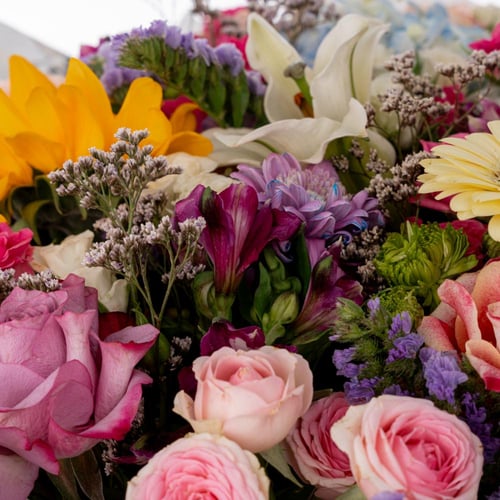 تناغم الألوان