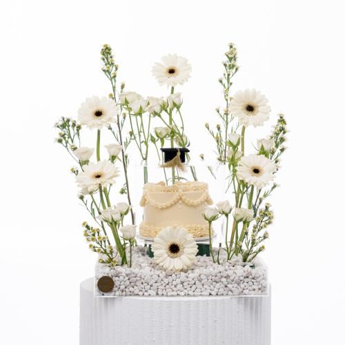 سيمفونية الجربيرا البيضاء