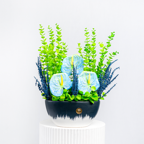 فازة انثوريوم ازرق