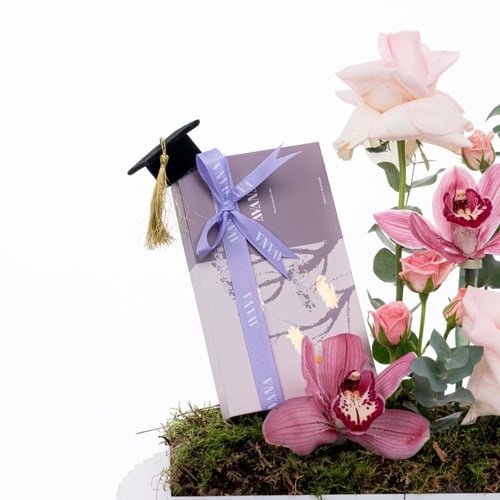 تناغم الأوركيد الوردي