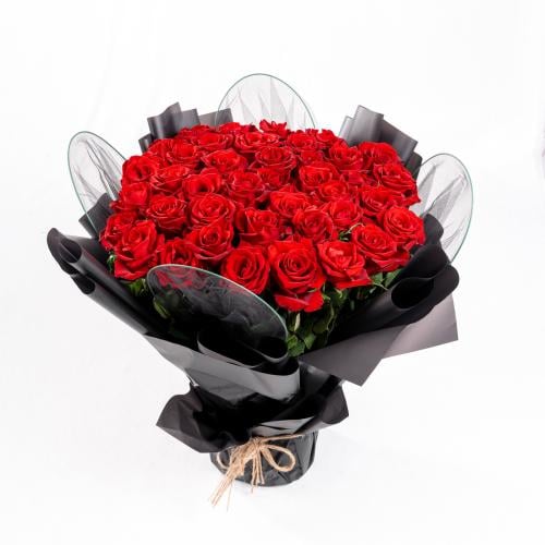 جوري الأسود الملكي