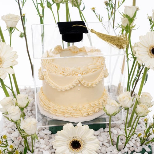 سيمفونية الجربيرا البيضاء