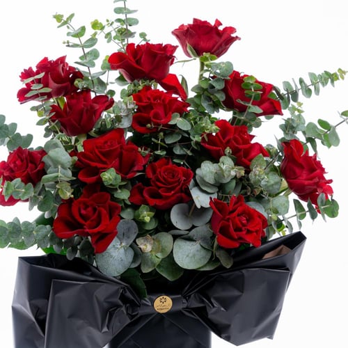 جوري النخبة