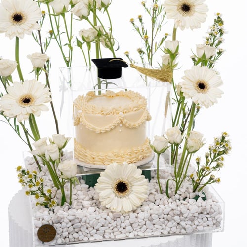 سيمفونية الجربيرا البيضاء