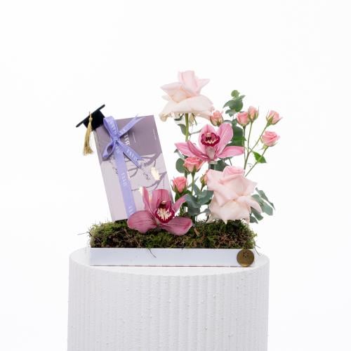 تناغم الأوركيد الوردي