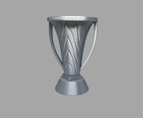 كأس آسيا للنخبة