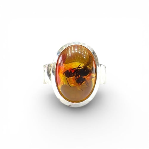 خاتم ملكي بالكهرمان المحشر