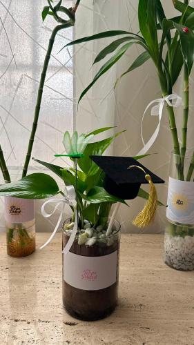 Boots Graduation Package