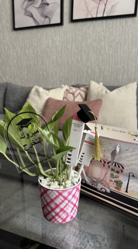 Boots Graduation Package