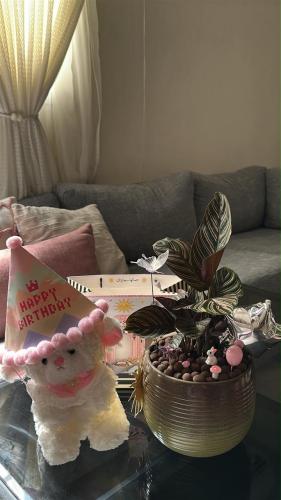 Calathea Ornata Birthday Package