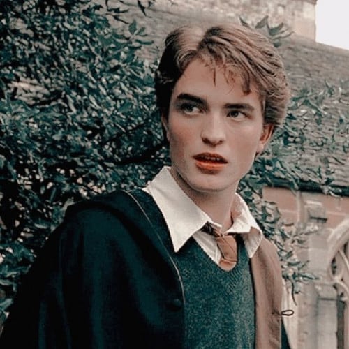 عصا سيدريك - Cedric Diggory Wand