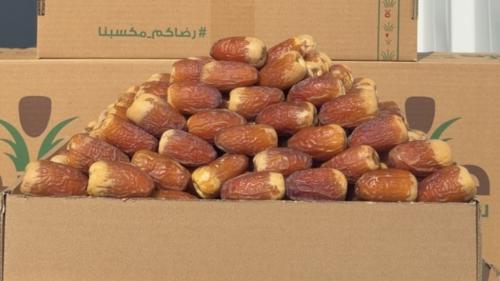صقعي سوبر ملكي "