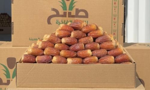صقعي سوبر ملكي - 570