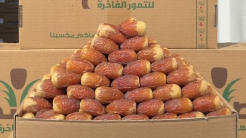 صقعي نوادر - 1050