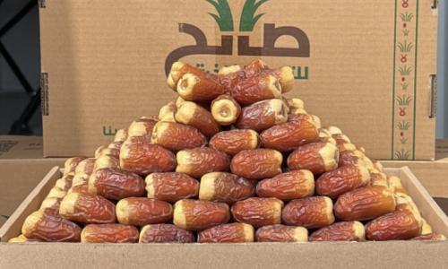 صقعي نوادر - 1050