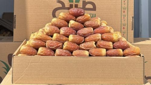 صقعي سوبر ملكي "