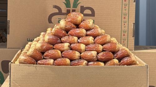 صقعي سوبر ملكي فاخر - 800