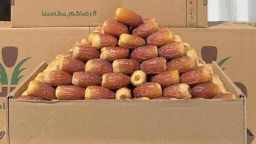 صقعي سوبر ملكي "