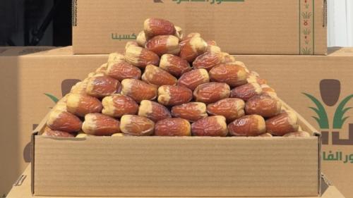 صقعي سوبر ملكي .. 650