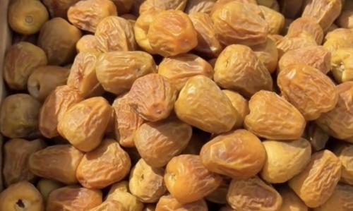 مفتل سبشل المزرعة