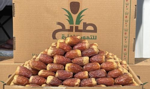 صقعي نوادر - 950