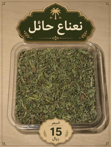 نعناع حائل