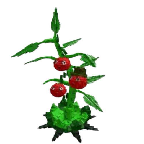 Tomarita (دمج عشوائي)