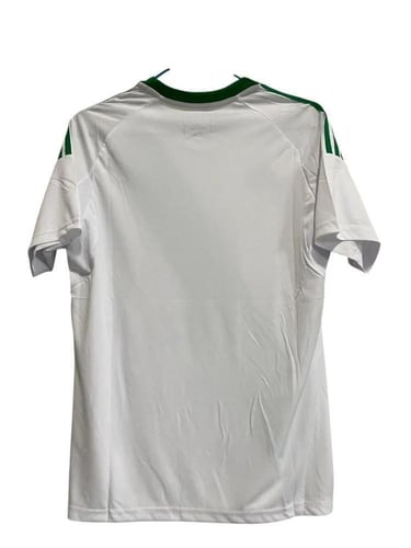 تيشيرت الاهلي الثاني 26/25