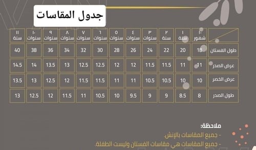 فستان مطرز انيق