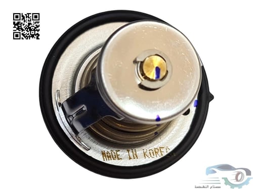 255002GGA0 بلف حرارة سوناتا أصلي