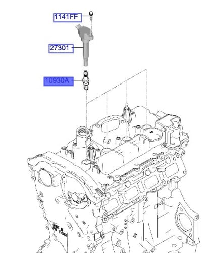 11887509085 بواجي جنسس اصلي (السعر للحبة)