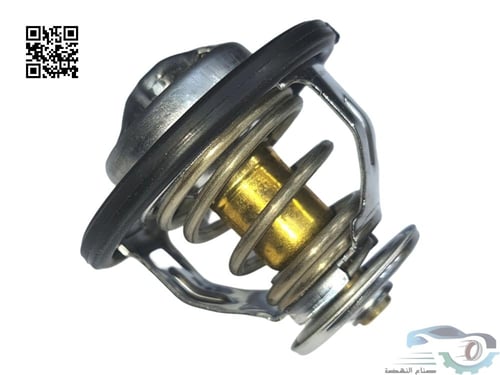 255002GGA0 بلف حرارة سوناتا أصلي