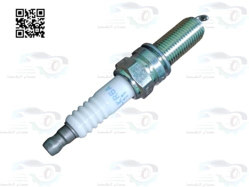 11885111060 بواجي كوريس + جنسس اصلي (السعر للحبة)