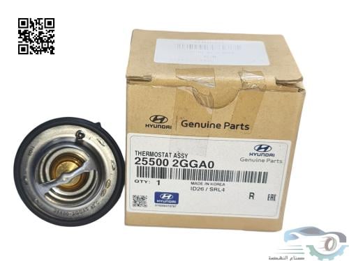 255002GGA0 بلف حرارة سوناتا أصلي
