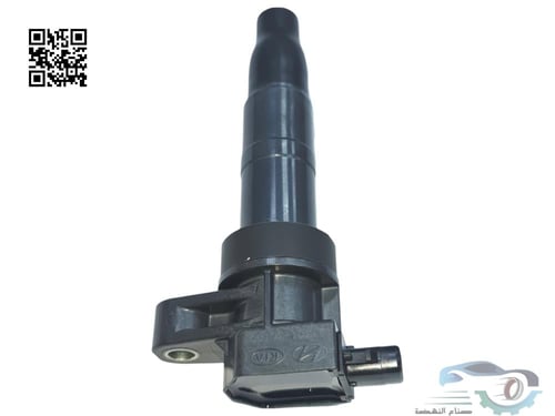 273013C100 كويل سوناتا اصلي