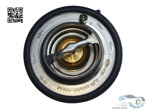 255002GGA0 بلف حرارة سوناتا أصلي