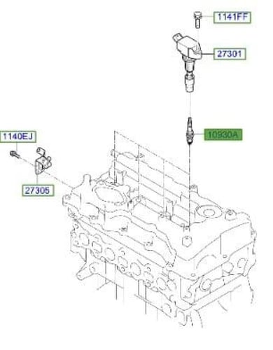 11885111060 بواجي كوريس + جنسس اصلي (السعر للحبة)